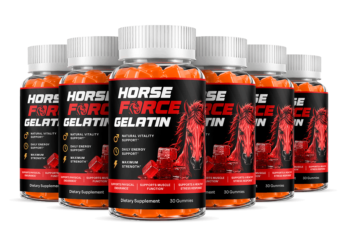 Horse Force Gelatin 6 bottle best value supply for consistent equine joint mobility connective tissue support and everyday wellness